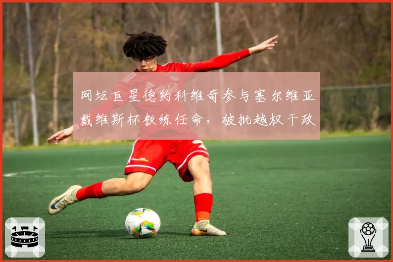 网坛巨星德约科维奇参与塞尔维亚戴维斯杯教练任命，被批越权干政